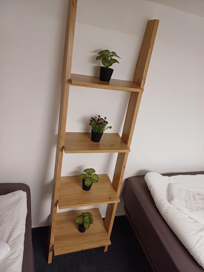 Apartment Afrodita リュブリャナ エクステリア 写真